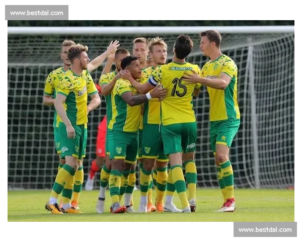 英冠焦点战诺维奇主场迎战女王公园巡游者胜负前瞻与关键看点解读