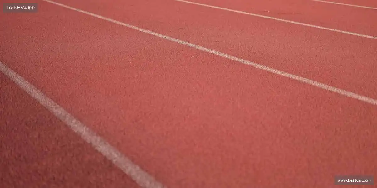 行业领先的理由